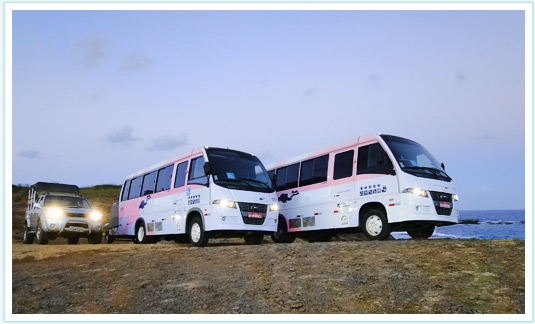 Onibus de Receptivo em Fernando de Noronha