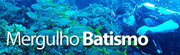 Mergulho Batismo Fernando de Noronha